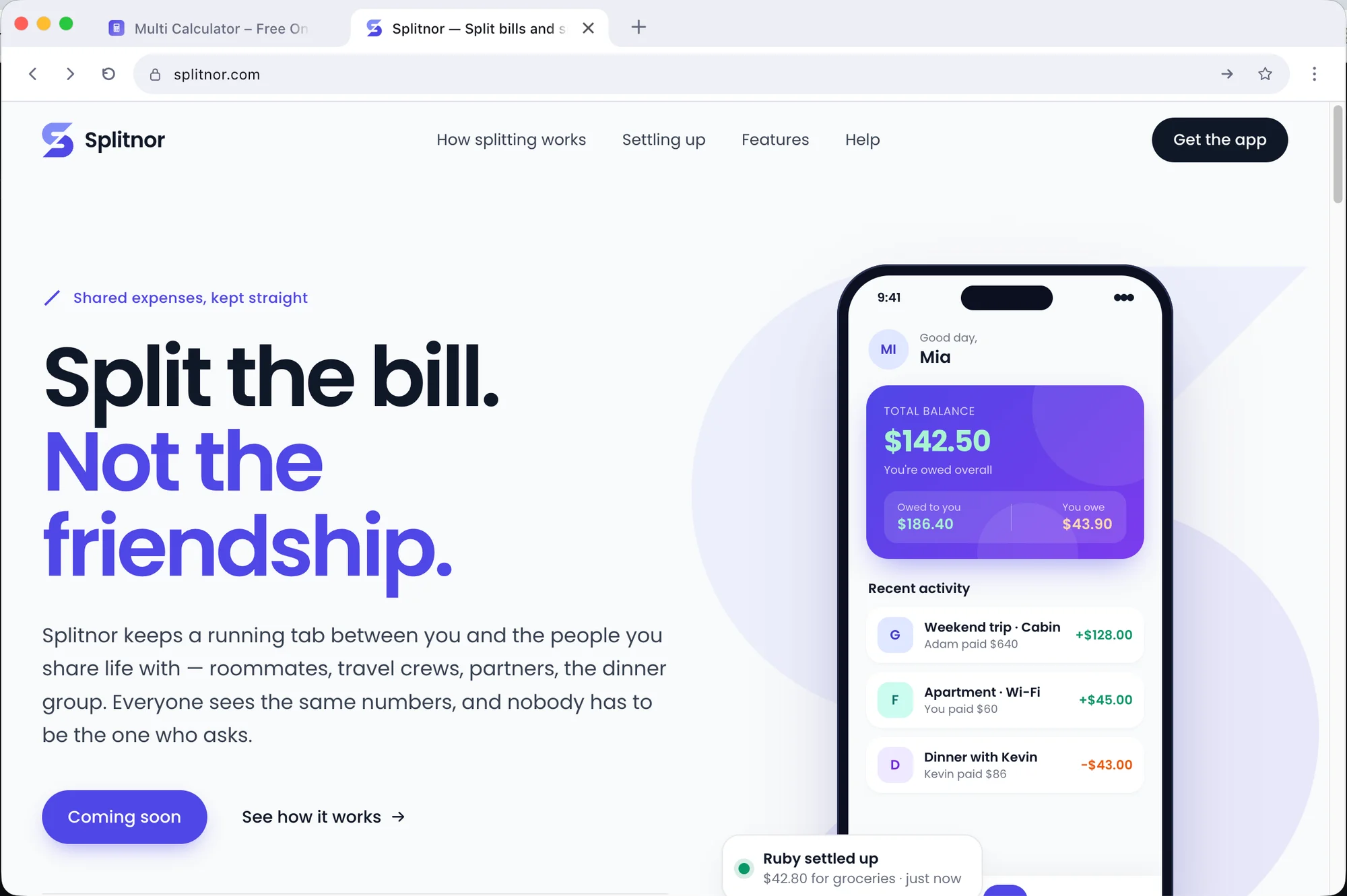 Lumina in light theme showing a bill-splitting website